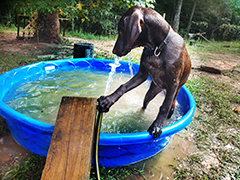 Alice - playing with water ..